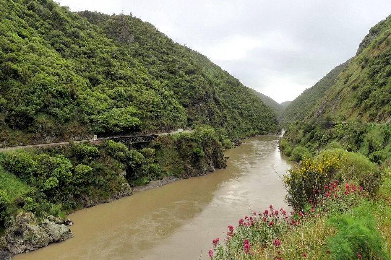 D (89) Manuwatu Gorge.jpg